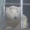 拾壹一