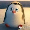 杨继涛