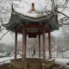筼筜偃竹